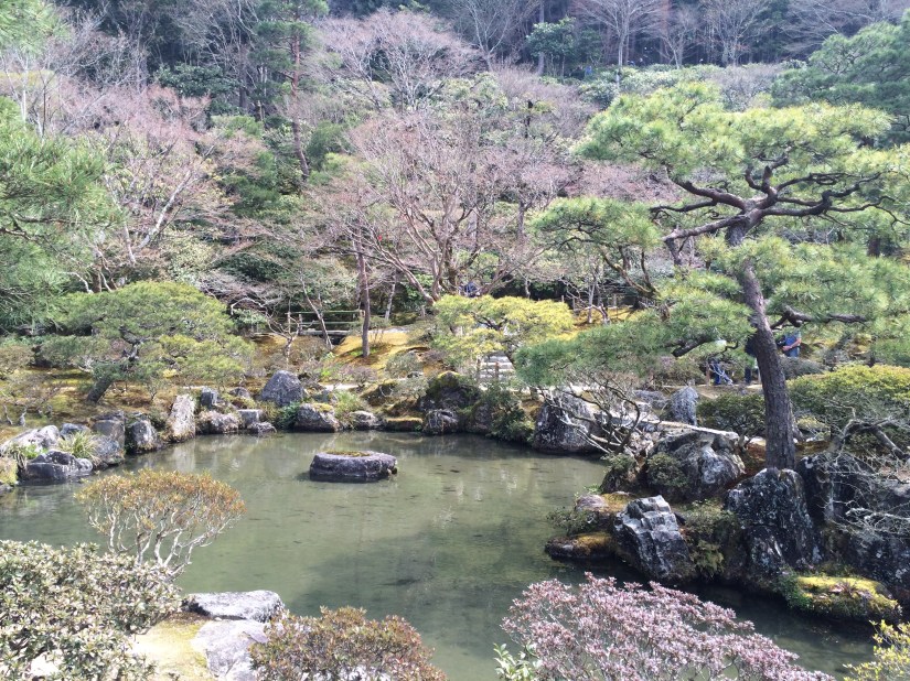 Photo 3-30-16, 11 11 28 AM