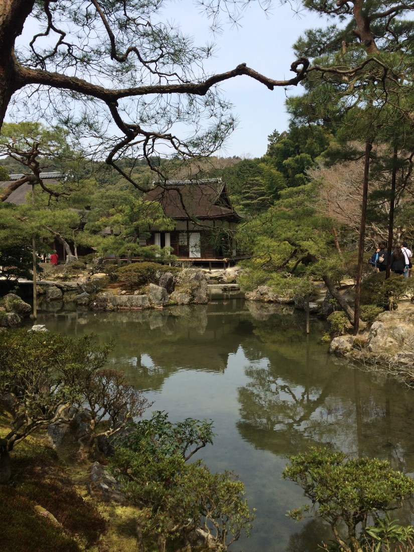 Photo 3-30-16, 11 13 11 AM