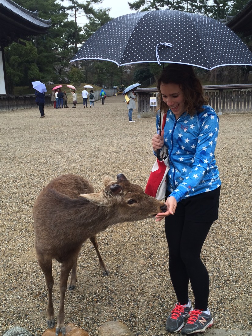 Photo 4-1-16, 10 43 14 AM