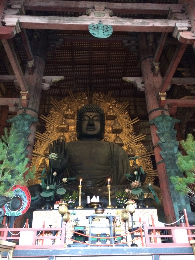 Photo 4-1-16, 11 55 48 AM